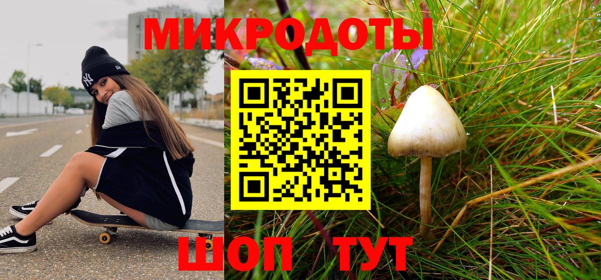 сколько стоит  Вход с VPN  Ейск  Галлюциногенные грибы Cubensis 